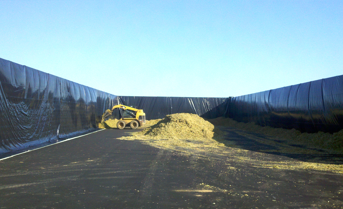 silage_2