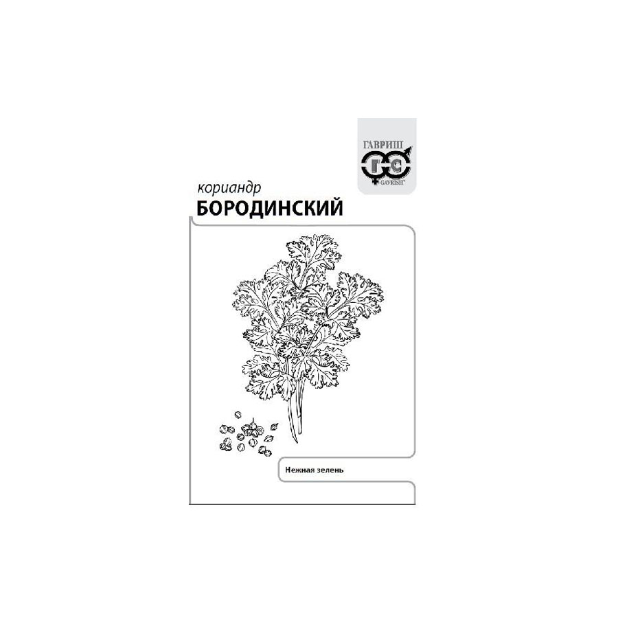 кориандр бородинский