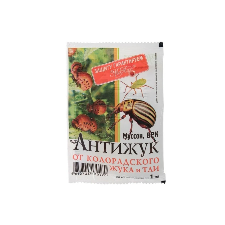 антижук
